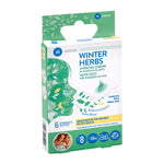 MEDISEI Winter Herbs - Αρωματικά Επιθέματα με Ευκάλυπτο & Μέντα 6τμχ.