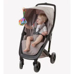 PLAYGROA Day At The Farm Βιβλίο Οδοντοφυΐας