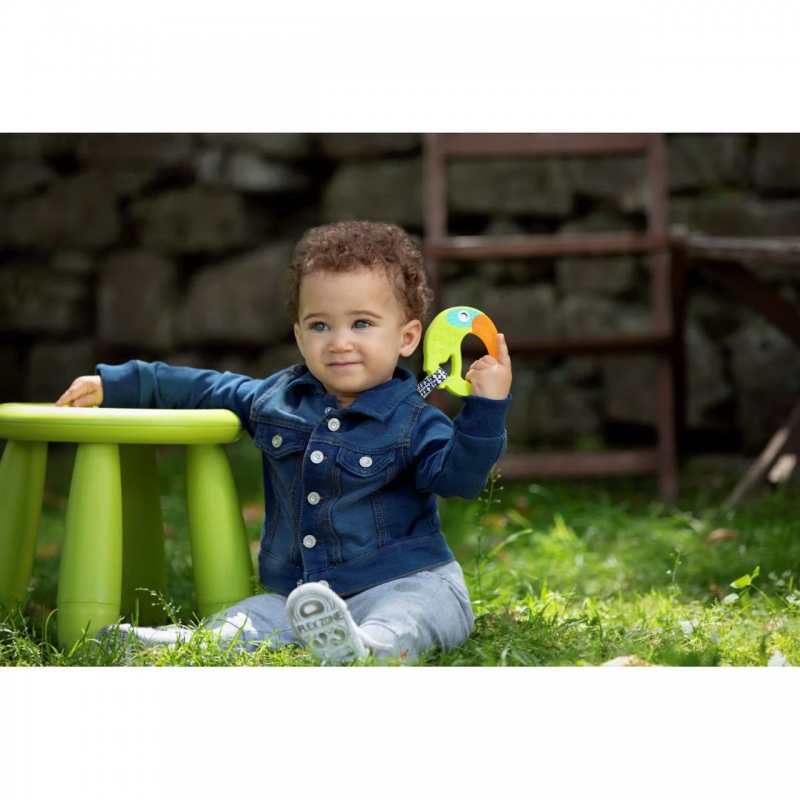 CHICCO Δροσιστικός Κρίκος Οδοντοφυΐας Funny 6Μ+