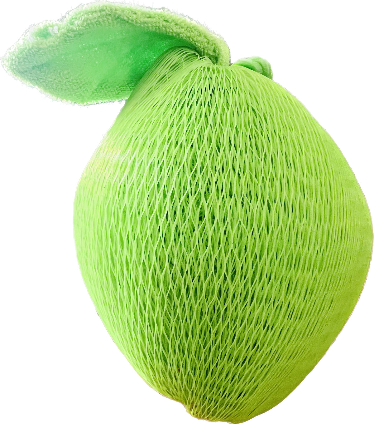 ΣΦΟΥΓΓΑΡΑΚΙ ΦΡΟΥΤΑΚΙ