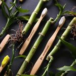 The Humble Co Οδοντόβουρτσα από Bamboo Μέτρια