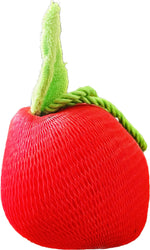 ΣΦΟΥΓΓΑΡΑΚΙ ΦΡΟΥΤΑΚΙ