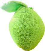 ΣΦΟΥΓΓΑΡΑΚΙ ΦΡΟΥΤΑΚΙ