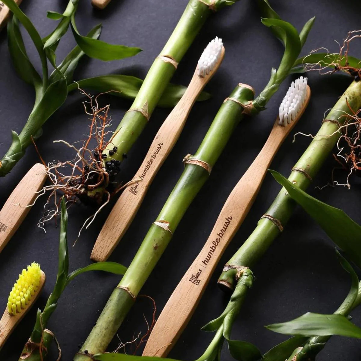 The Humble Co Οδοντόβουρτσα από Bamboo Μέτρια 